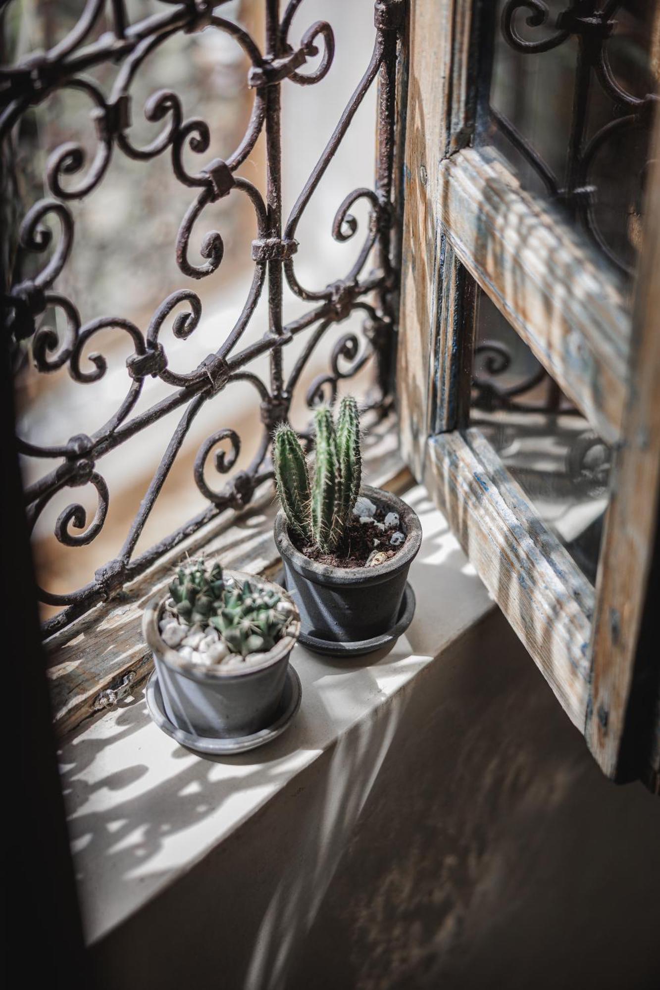 Riad Alkemia En Exclusivite Marrakesh Ngoại thất bức ảnh